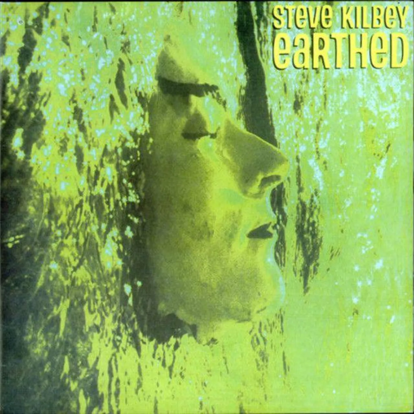 Steve Kilbey EARTHED (GATEFOLD/METAL MASTER) Vinyl Record