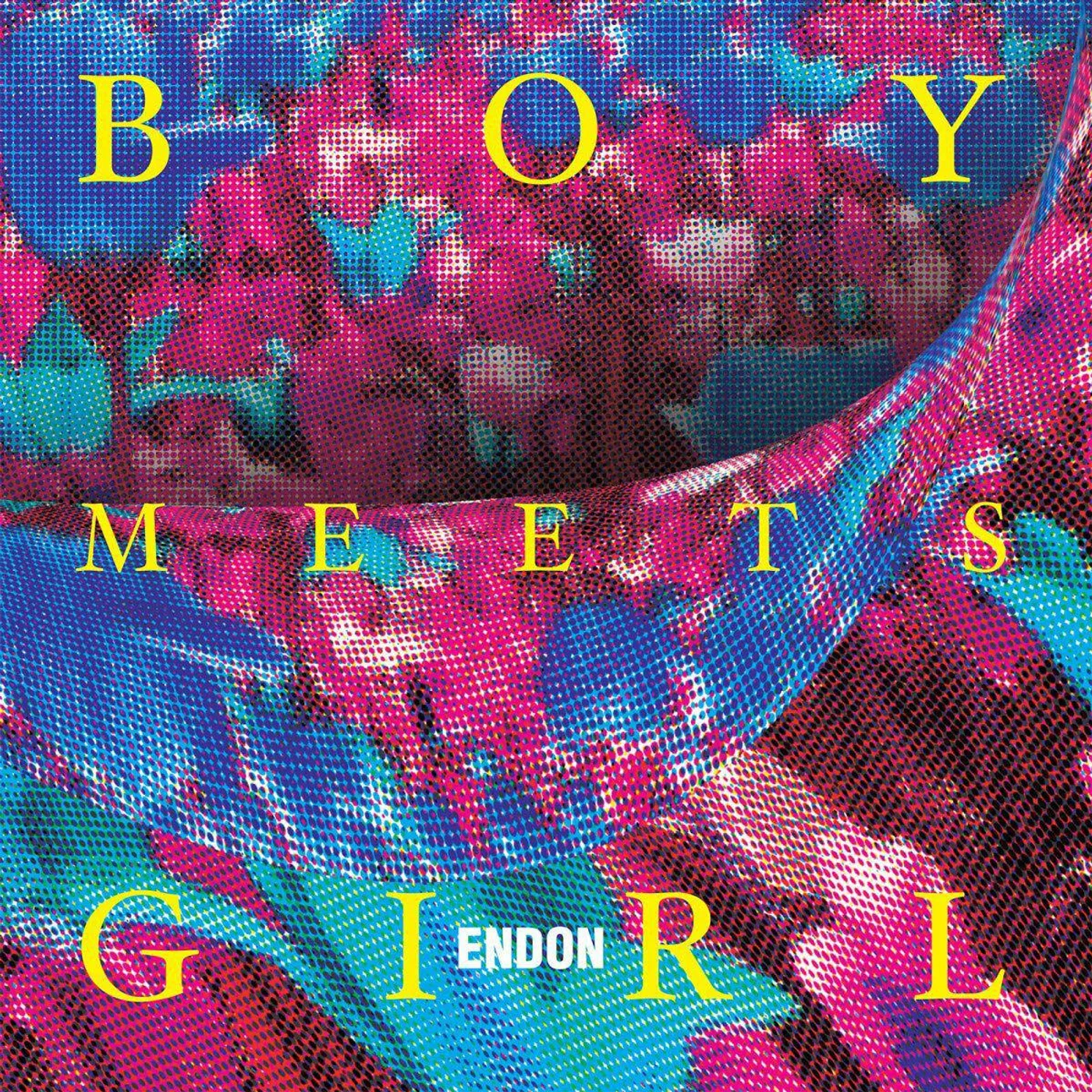ENDON Boy Meets Girl (Virgin/DL Card) Vinyl Record