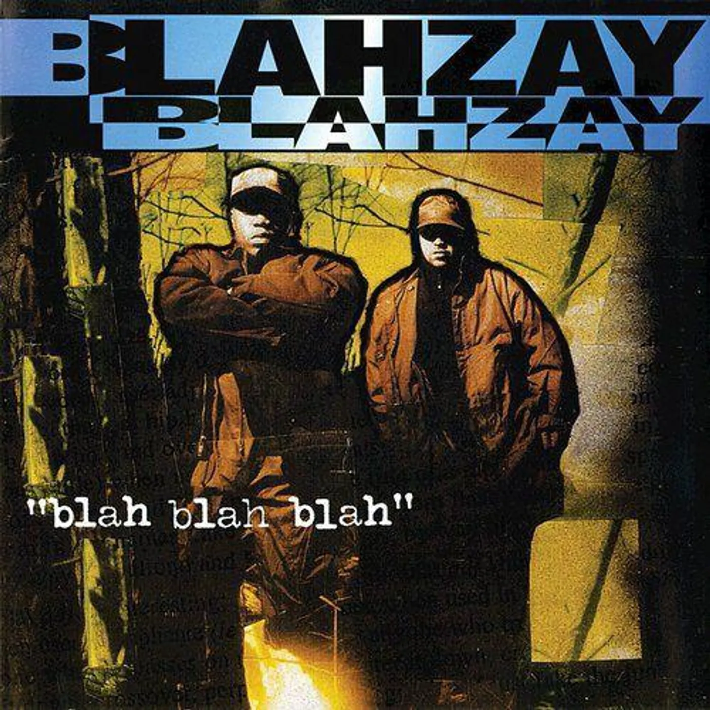Blahzay Blahzay Blah Blah Blah Vinyl Record