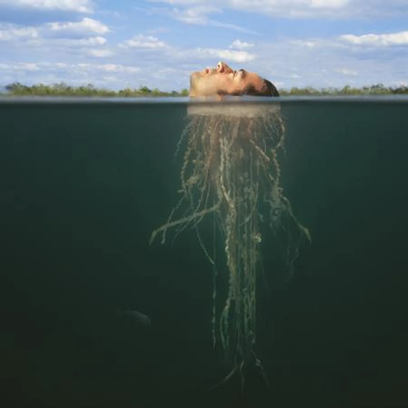 The Mars Volta De-Loused In The Comatorium (2LP/Gold & Dark Green) Vinyl Record