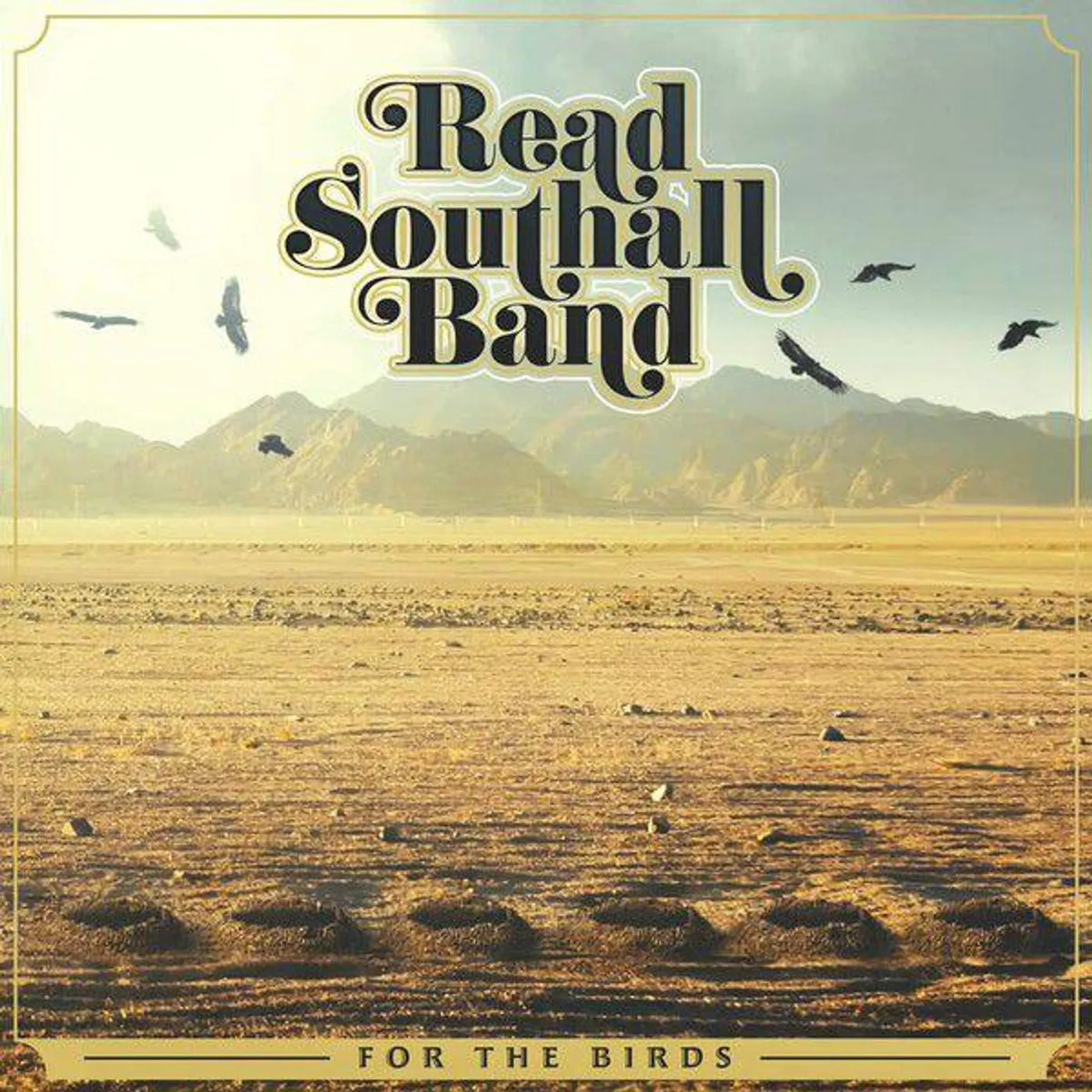 Read Southall Band For The Birds vinyl record
