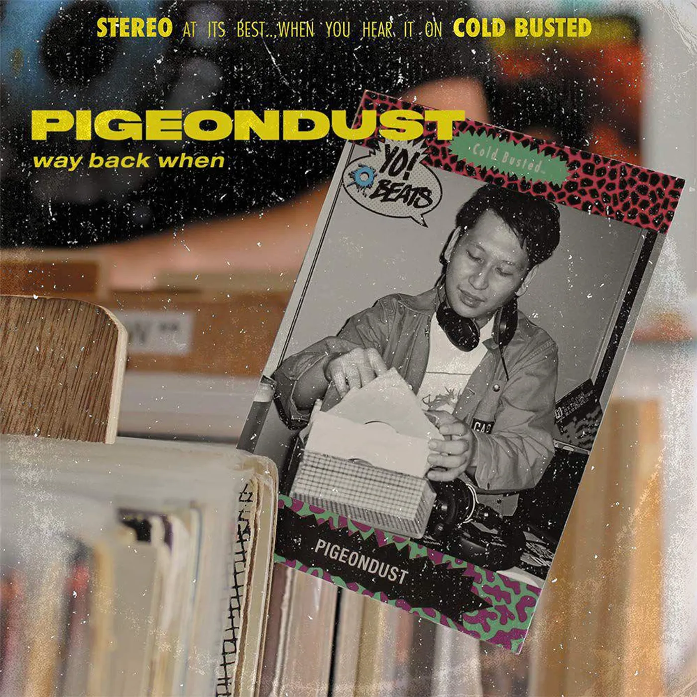 Pigeondust Way Back When (2LP) Vinyl Record