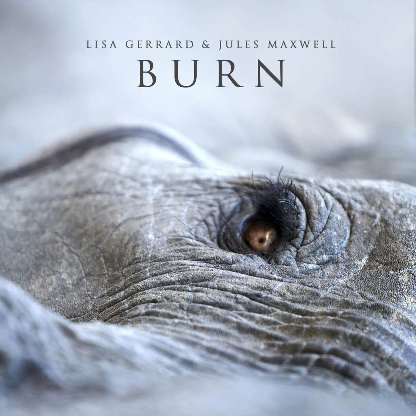 Lisa Gerrard Burn Vinyl Record