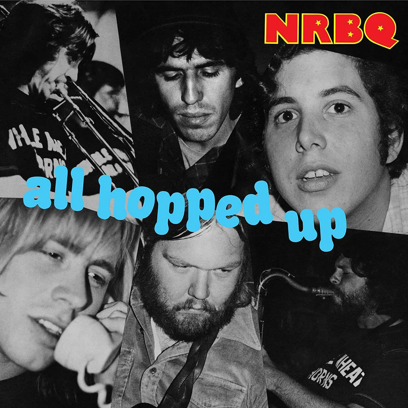 NRBQ All Hopped Up Vinyl Record