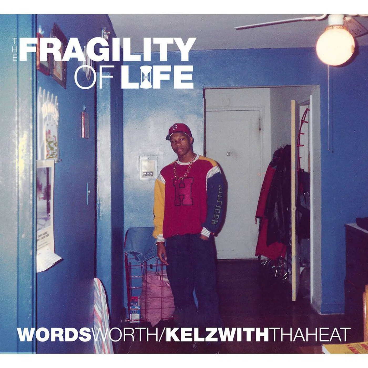 Wordsworth Fragility Of Life Vinyl Record