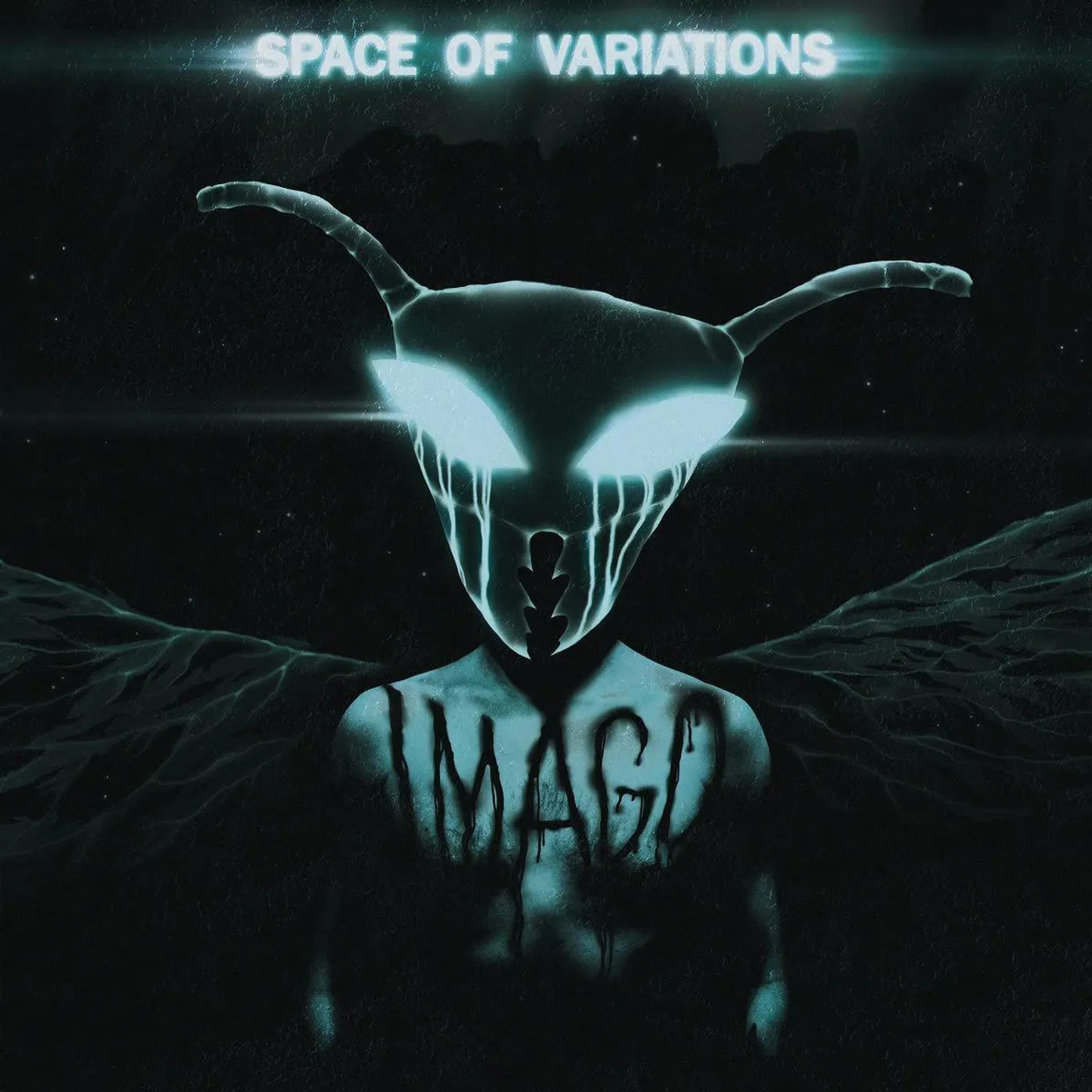 Space Of Variations Imago Vinyl Record