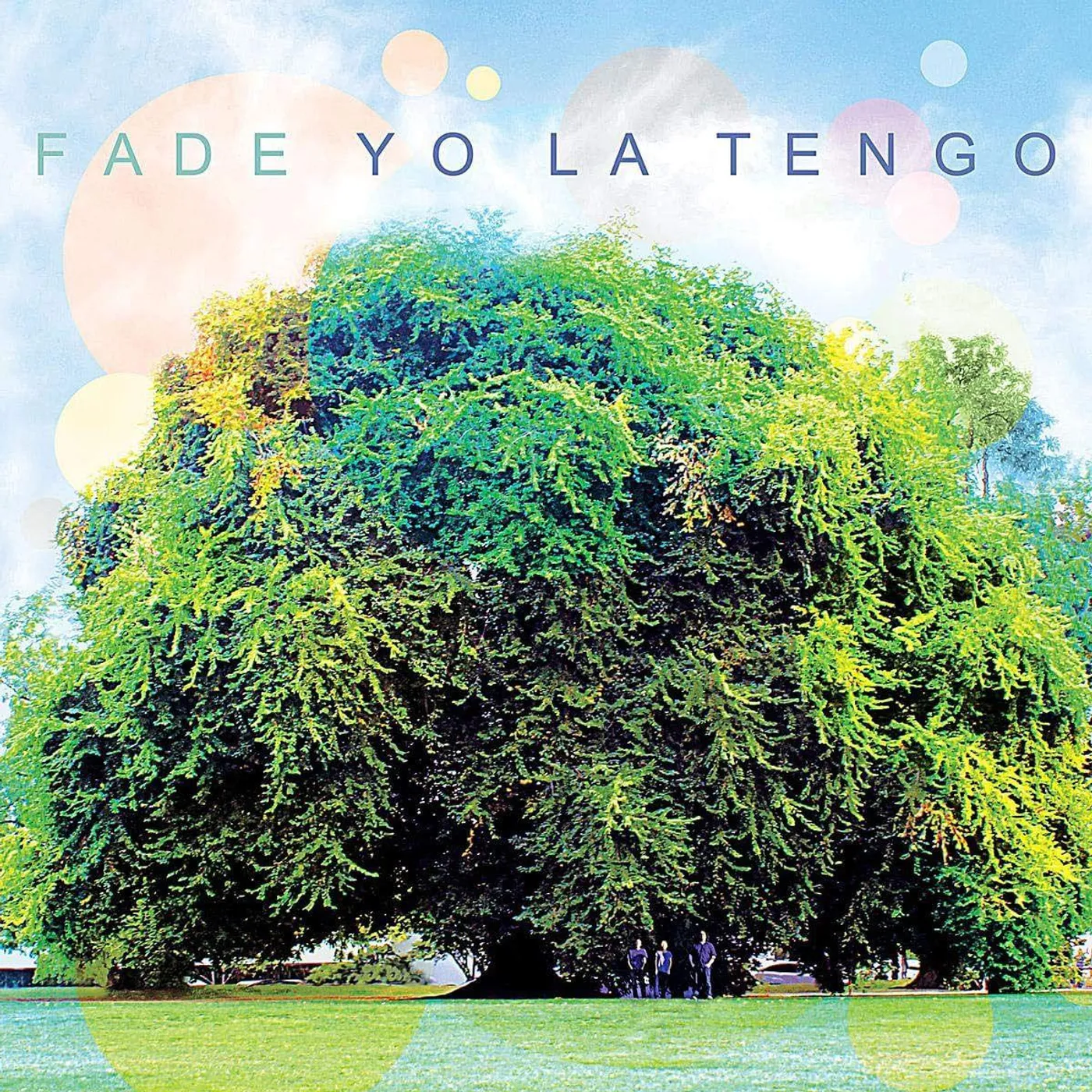 Yo La Tengo Fade Vinyl Record