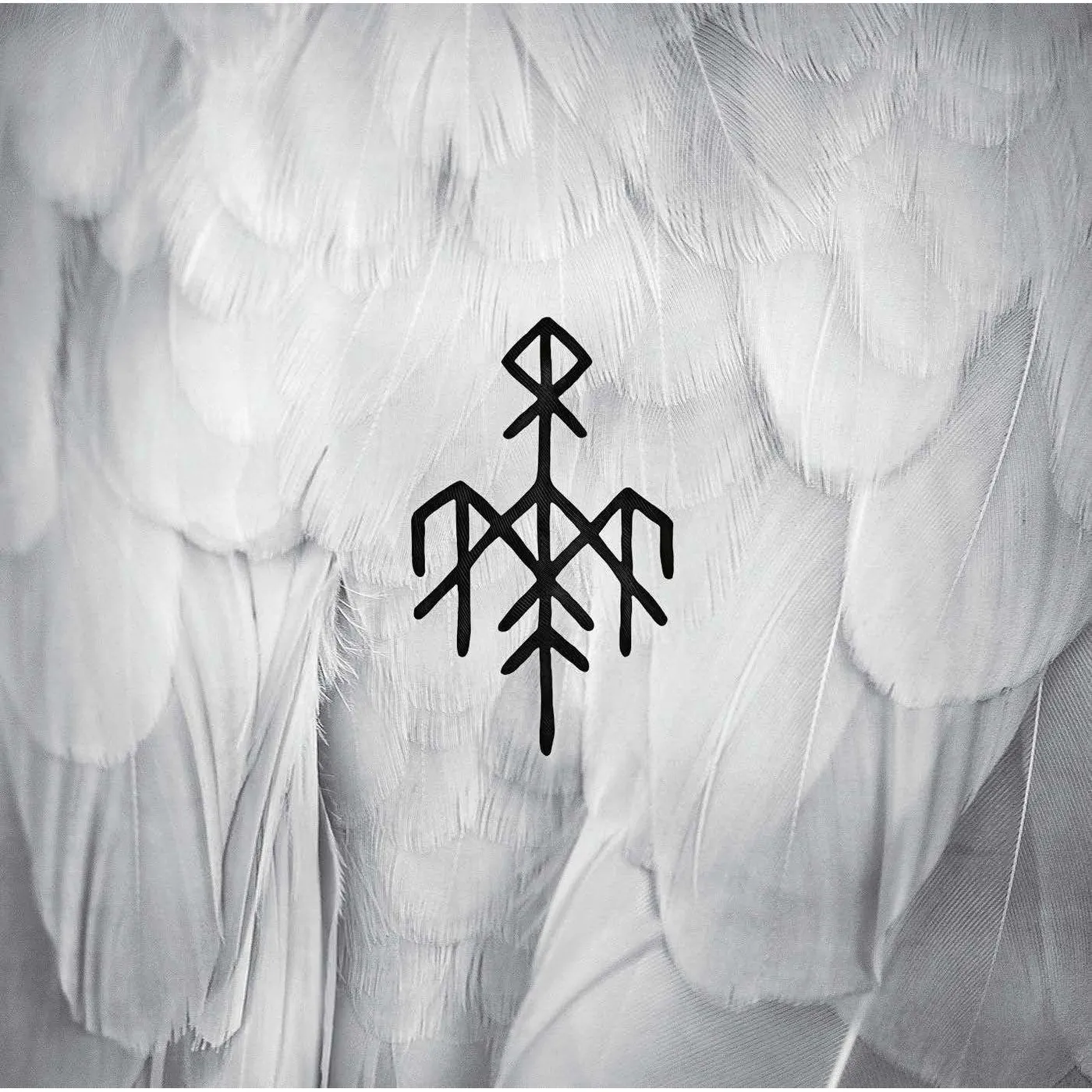 Wardruna Kvitravn Box Set (Vinyl)
