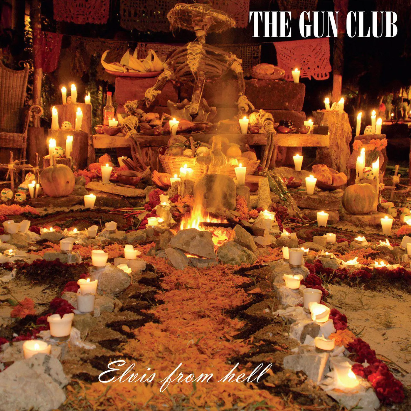 The Gun Club Elvis From Hell Vinyl Record