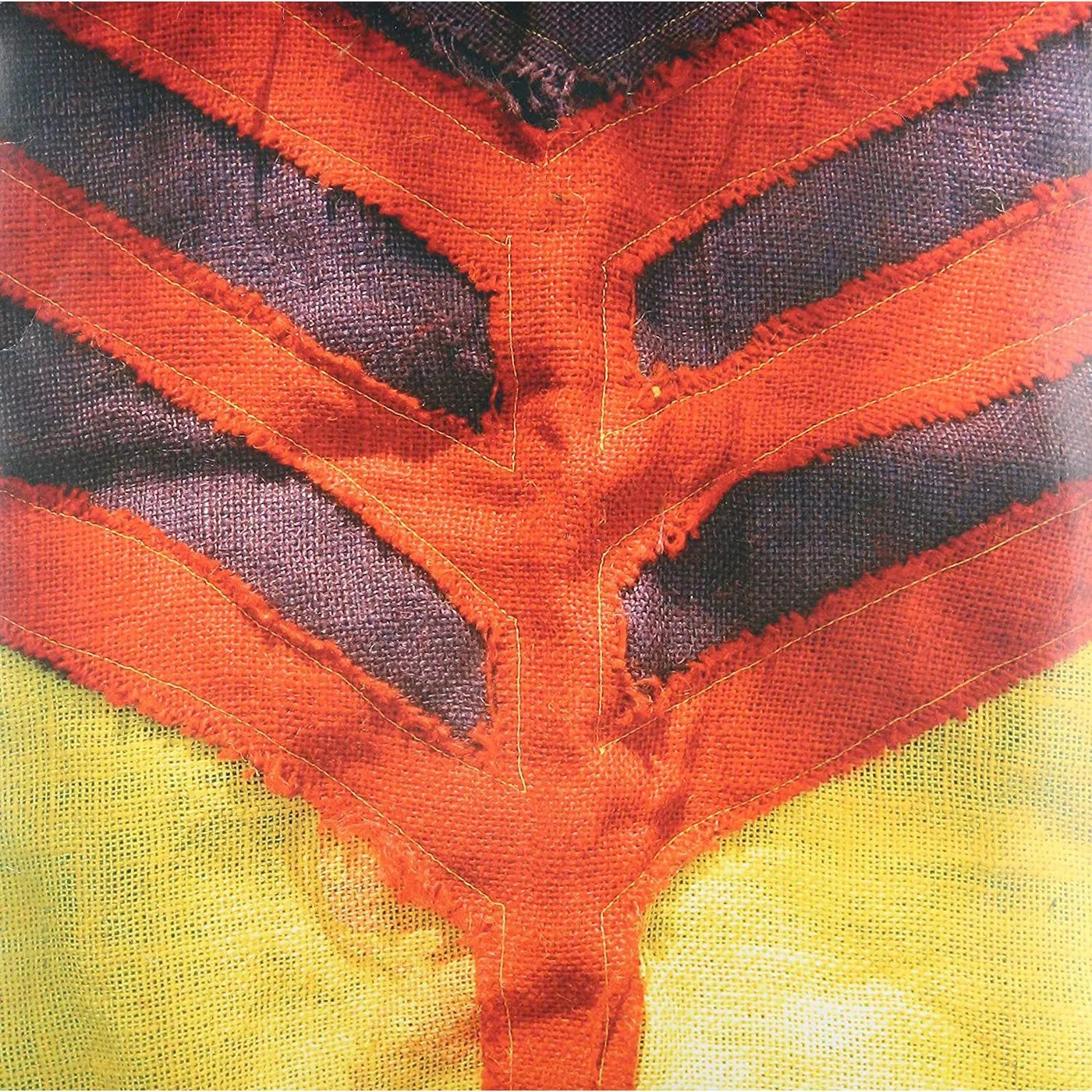 Yeah Yeah Yeahs Show Your Bones Vinyl Record