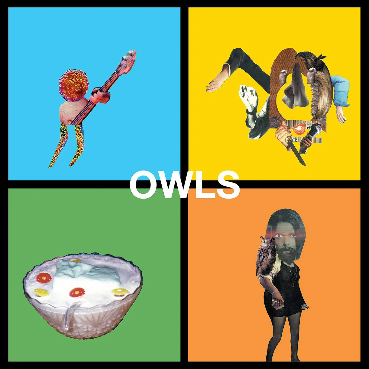 Owls Vinyl Record