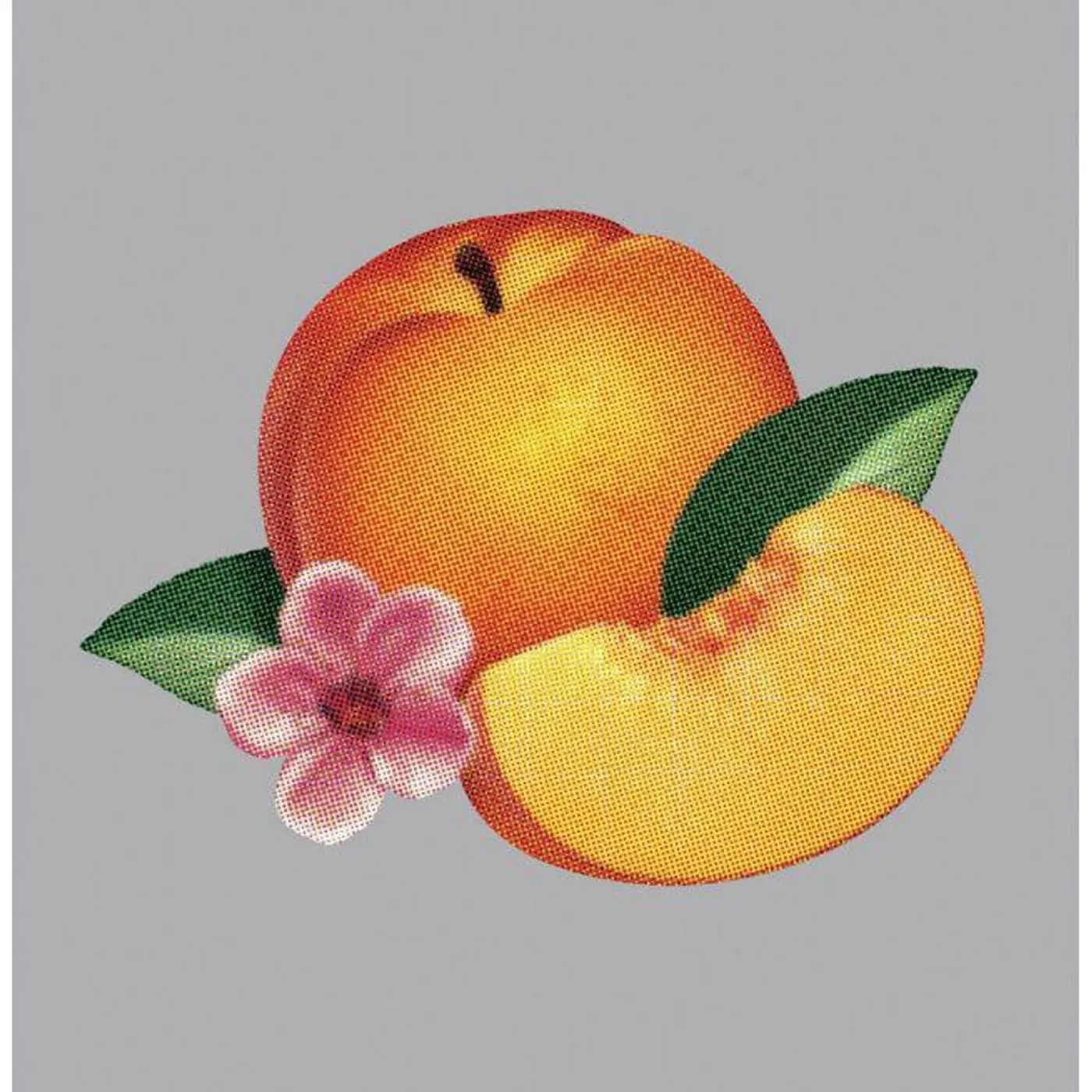 Phoenix Bankrupt Vinyl Record