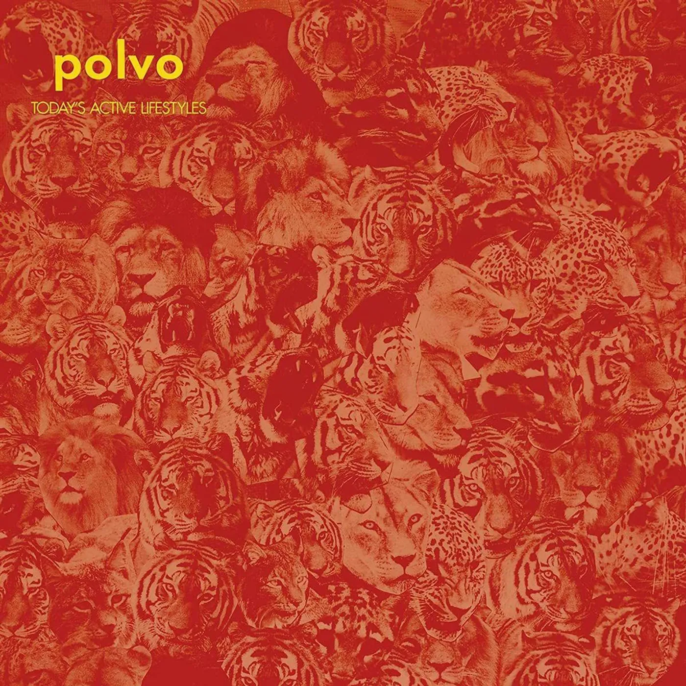 Polvo Today's Active Lifestyles Vinyl Record