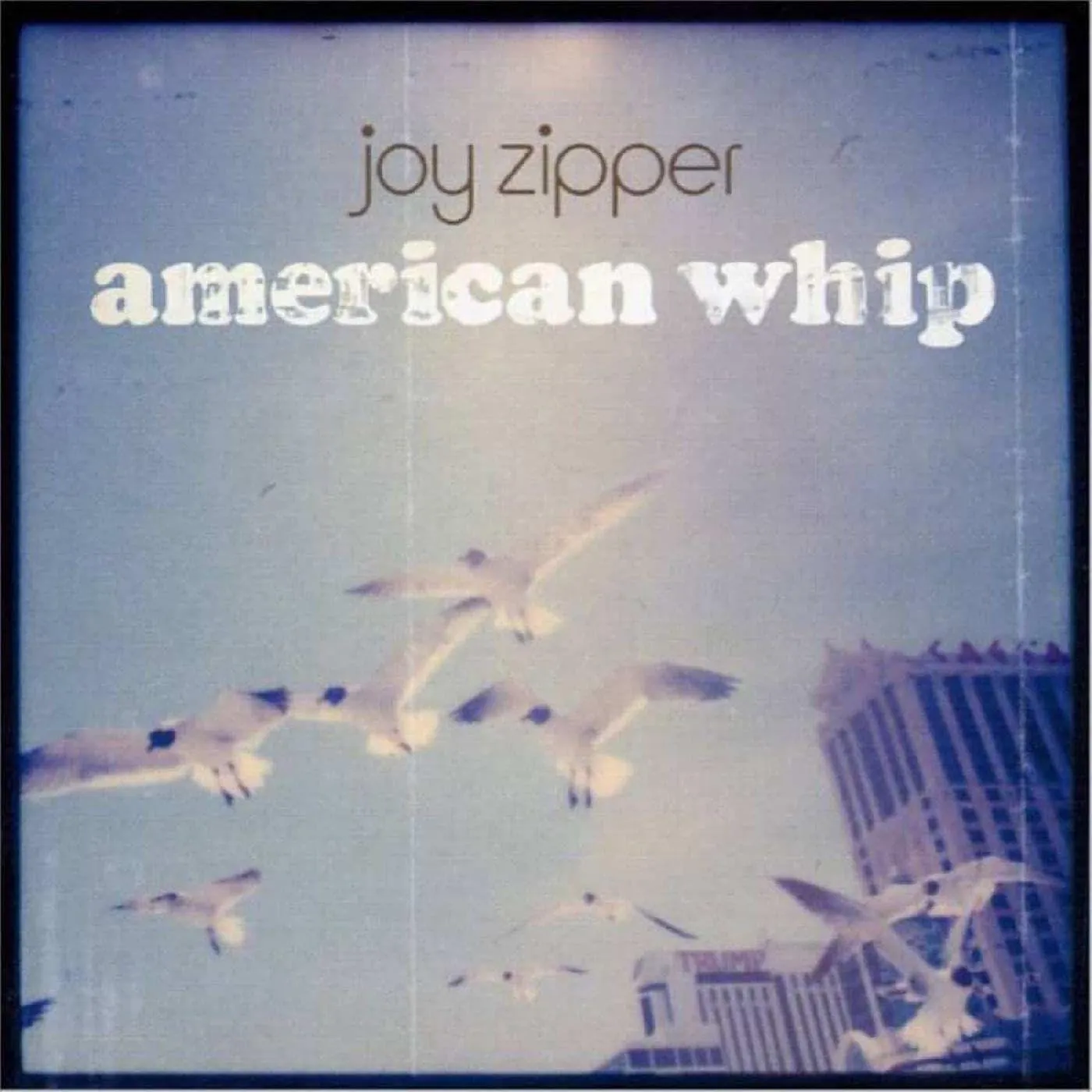 Joy Zipper American Whip (Blue) Vinyl Record