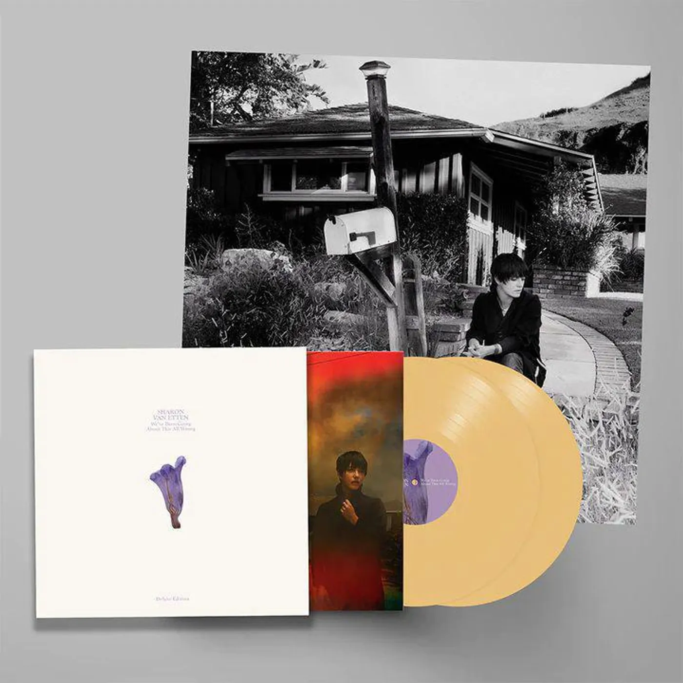 Sharon Van Etten WE'VE BEEN GOING ABOUT THIS ALL WRONG (DELUXE EDITION/CUSTARD VINYL/2LP) Vinyl Record