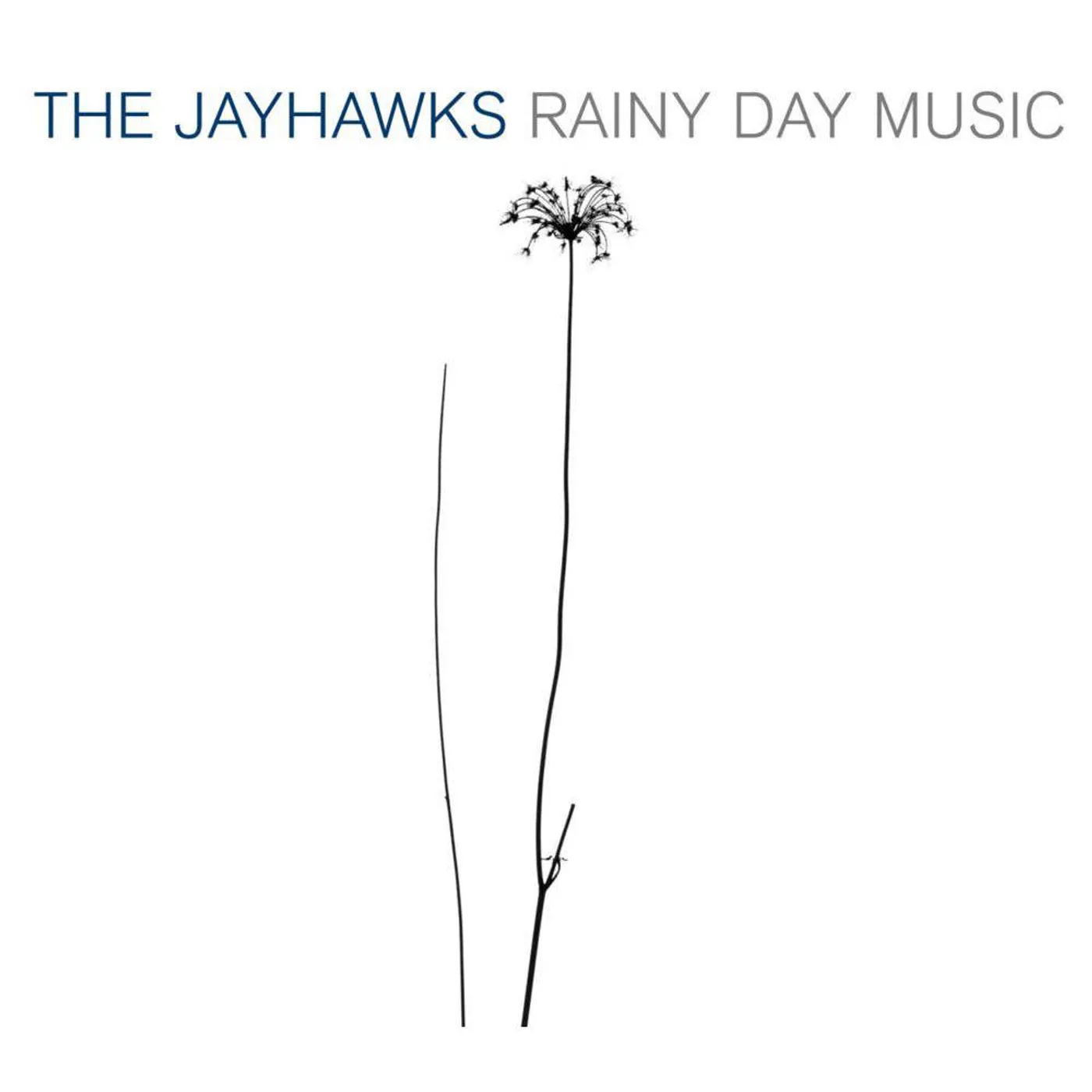 The Jayhawks Rainy Day Music Vinyl Record