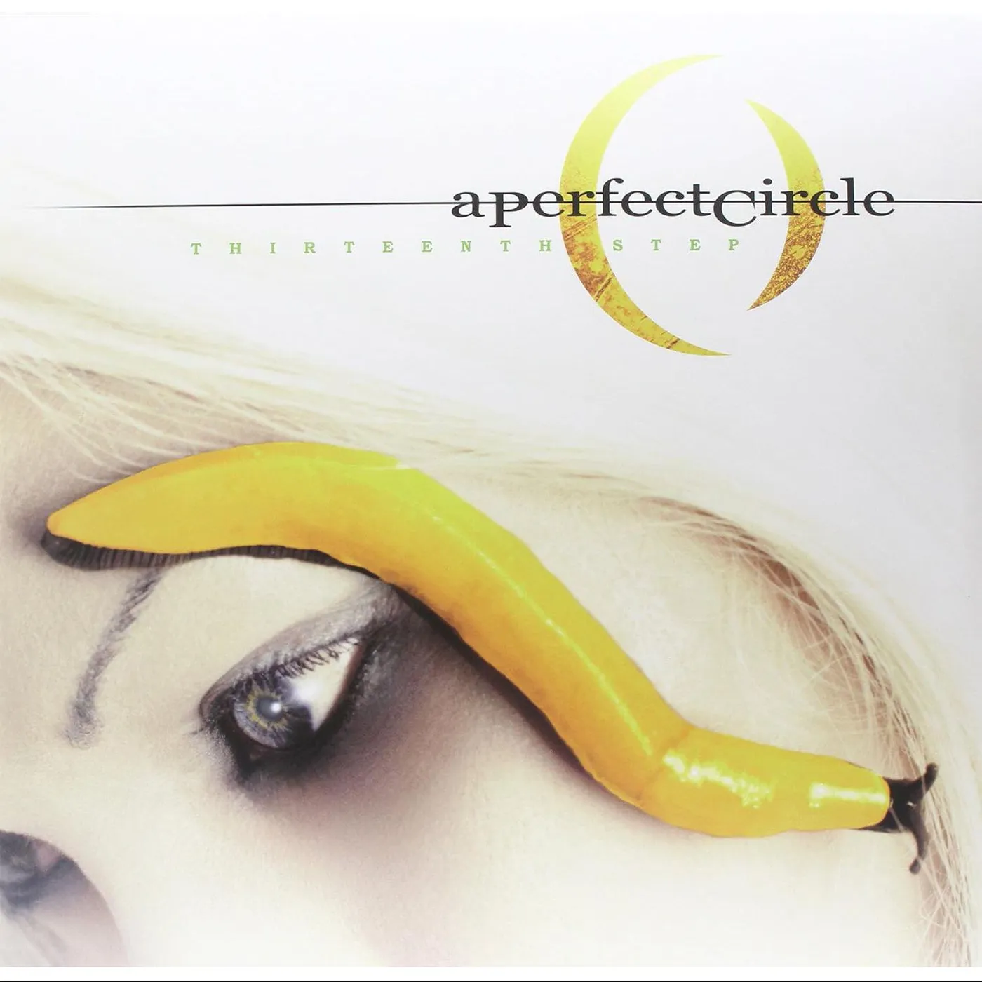A Perfect Circle Thirteenth Step (2LP) Vinyl Record