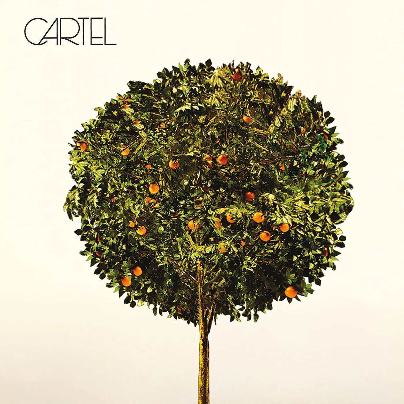  Cartel Vinyl Record