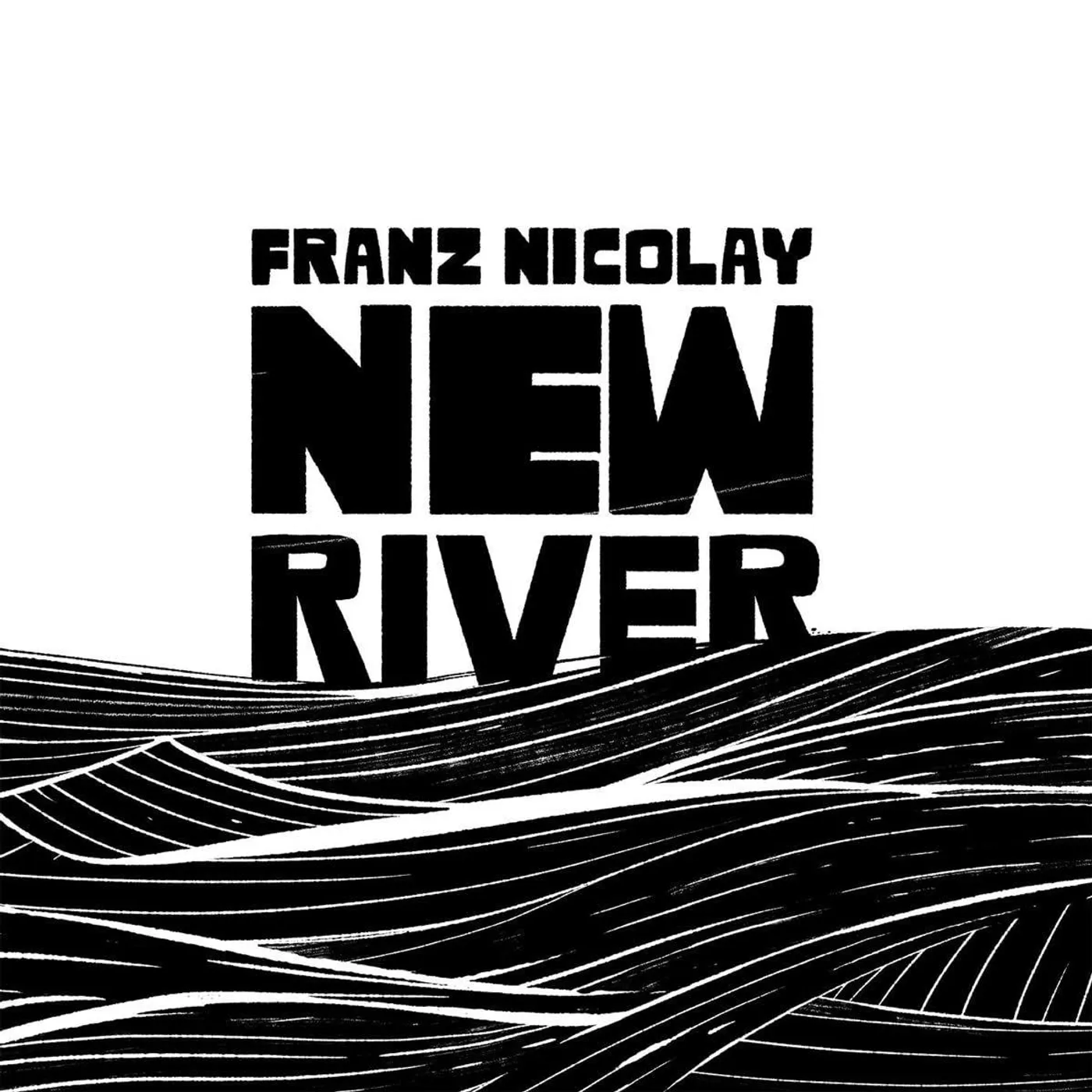 Franz Nicolay New River Vinyl Record