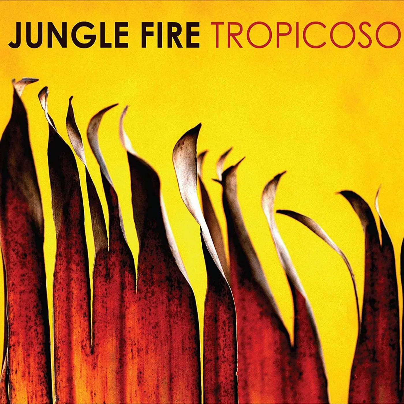 Jungle Fire TROPICOSO (PINK VINYL) (TEN BANDS ONE CAUSE) Vinyl Record