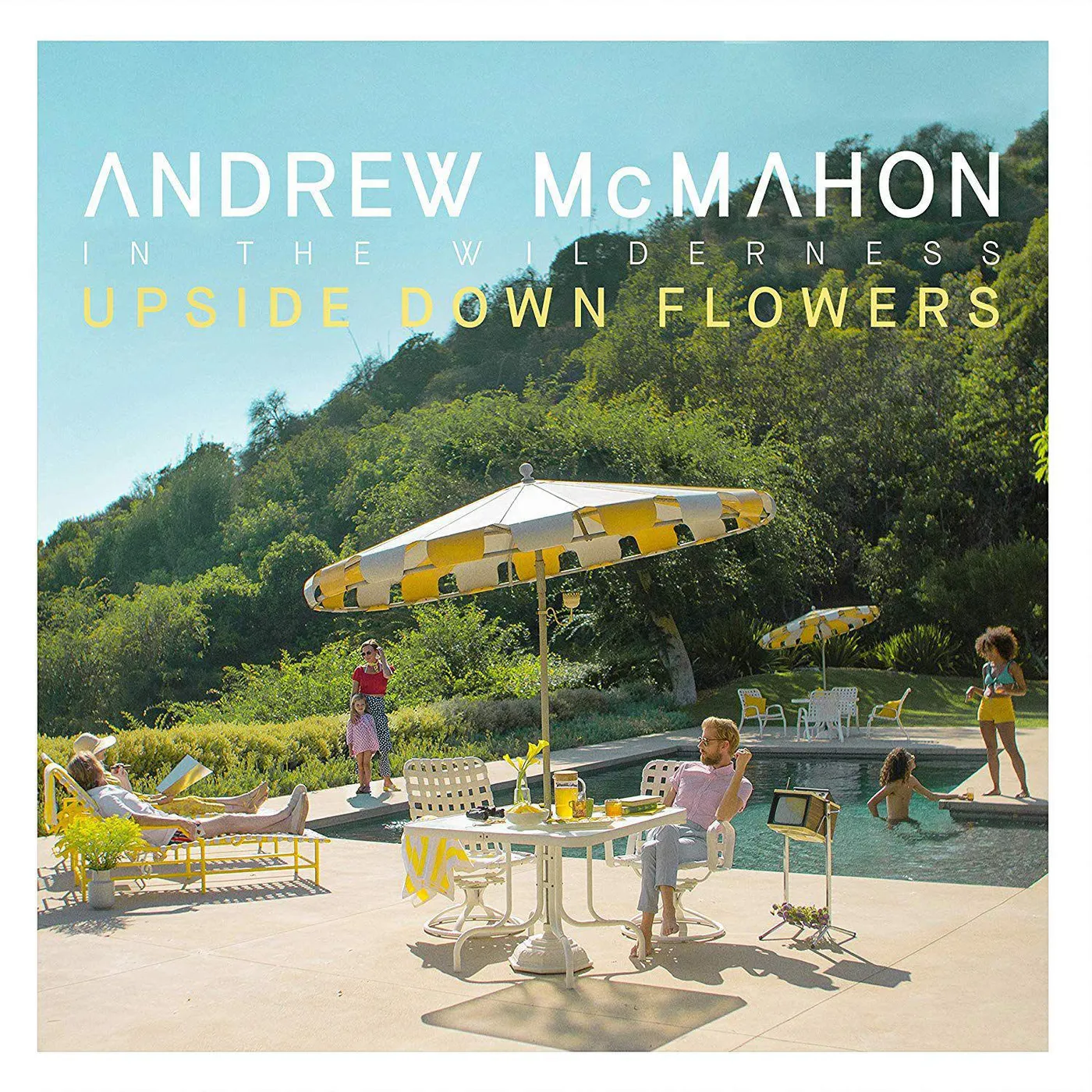 Andrew McMahon in the Wilderness Upside Down Flowers Vinyl Record