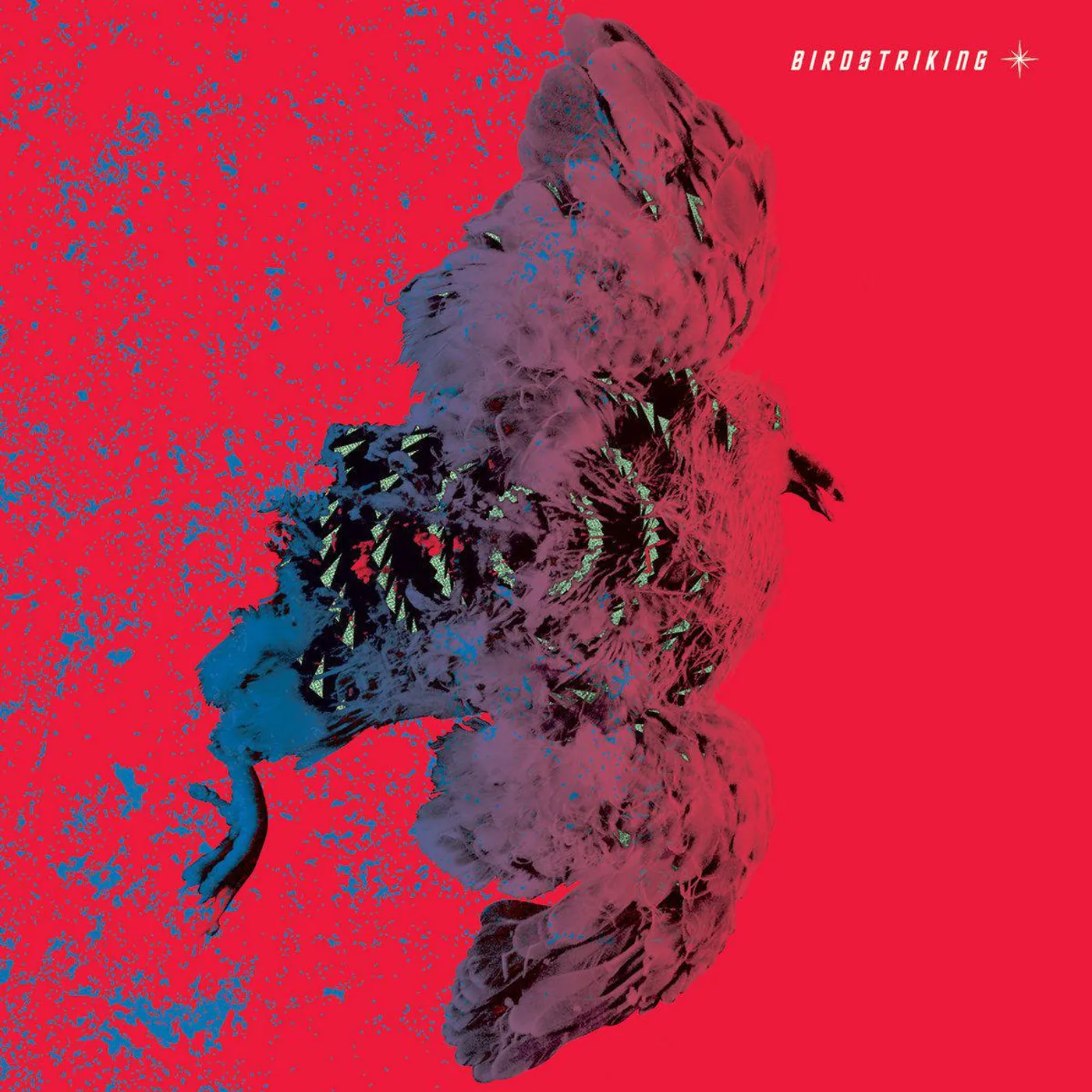 Birdstriking (2LP) Vinyl Record