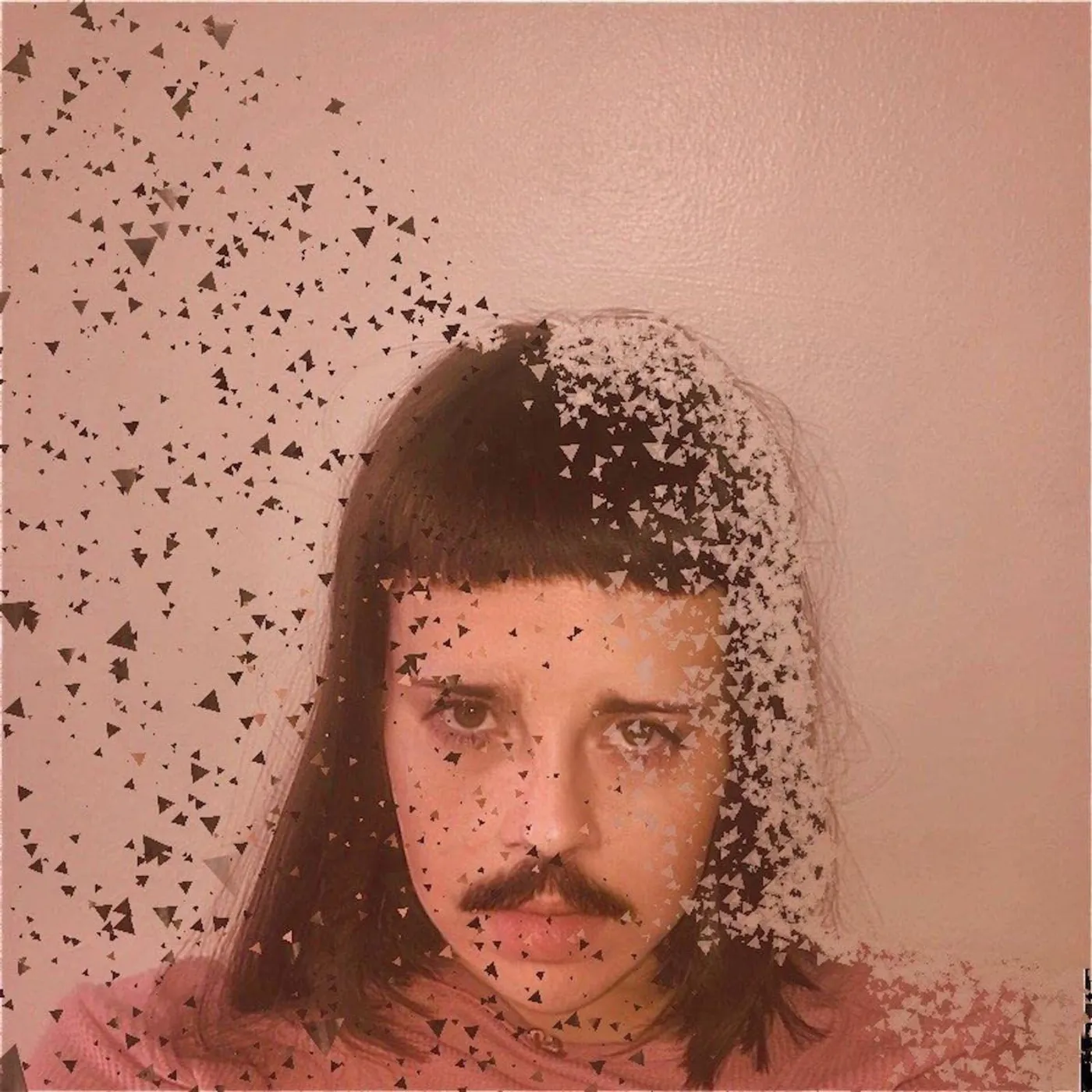 Teri Gender Bender State Of Fear Vinyl Record