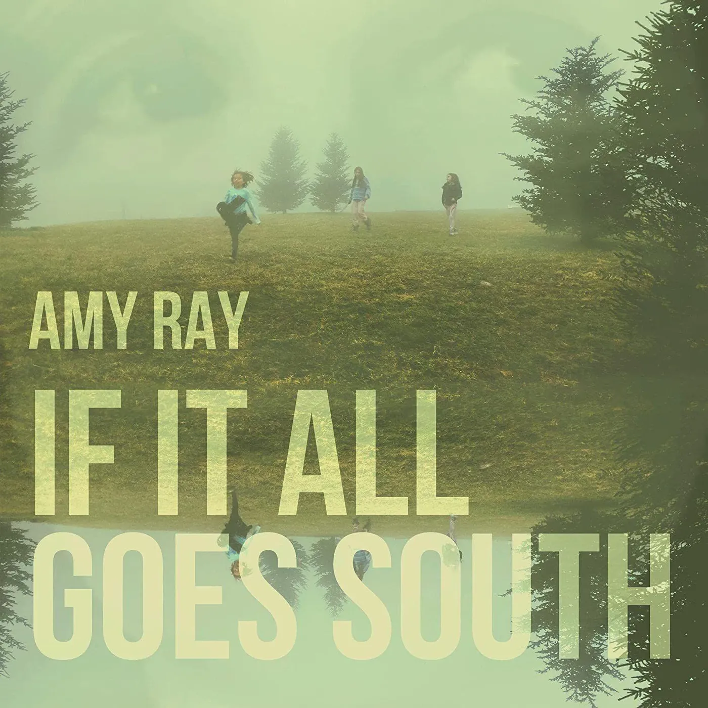 Amy Ray If It All Goes South Vinyl Record