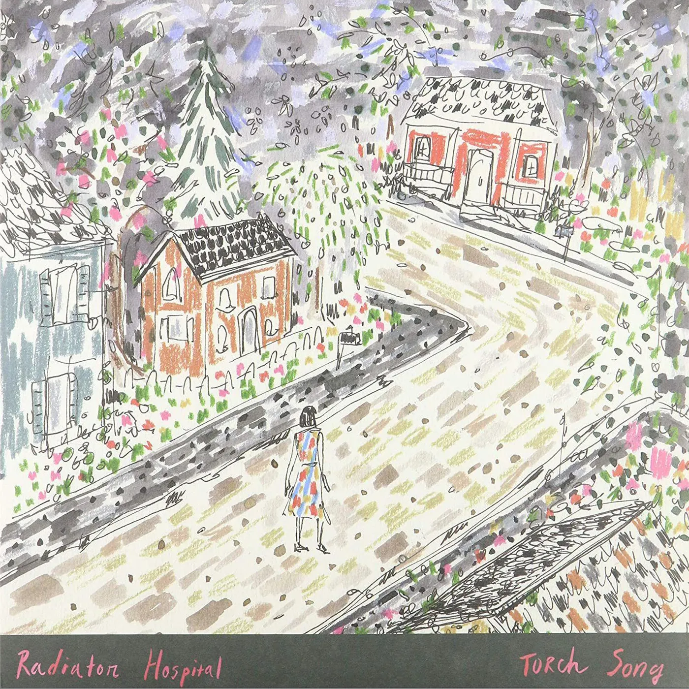 Radiator Hospital Torch Song Vinyl Record