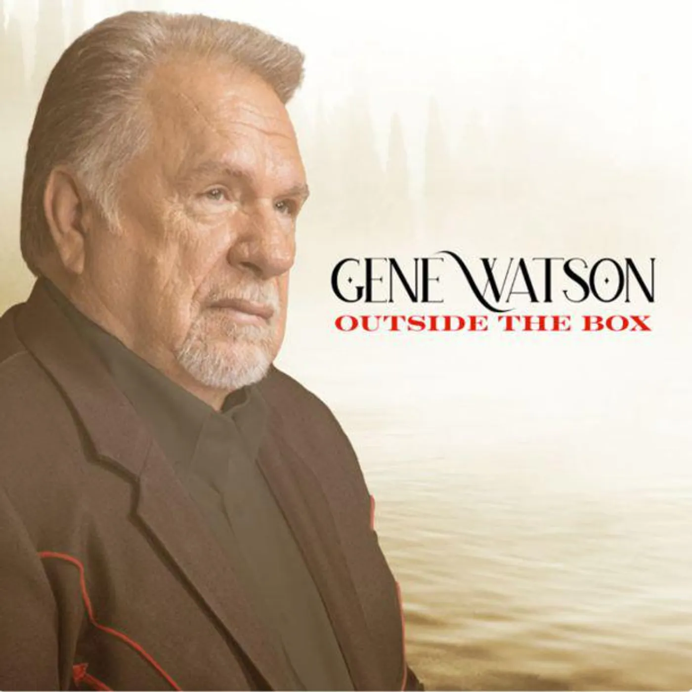 Gene Watson Outside The Box Vinyl Record