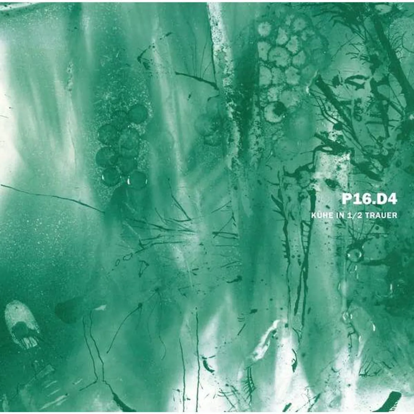 P16.d4 Kuhe In 1/2 Trauer Vinyl Record