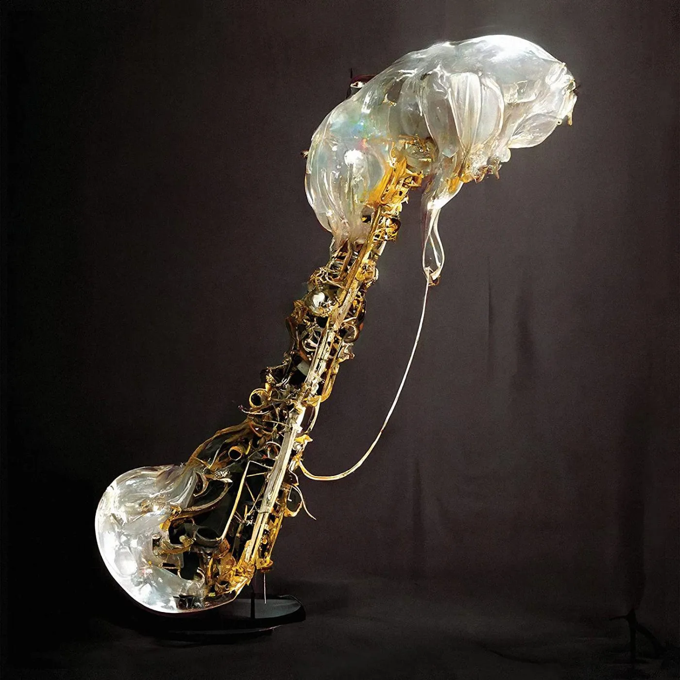 Sam Gendel COOKUP Vinyl Record