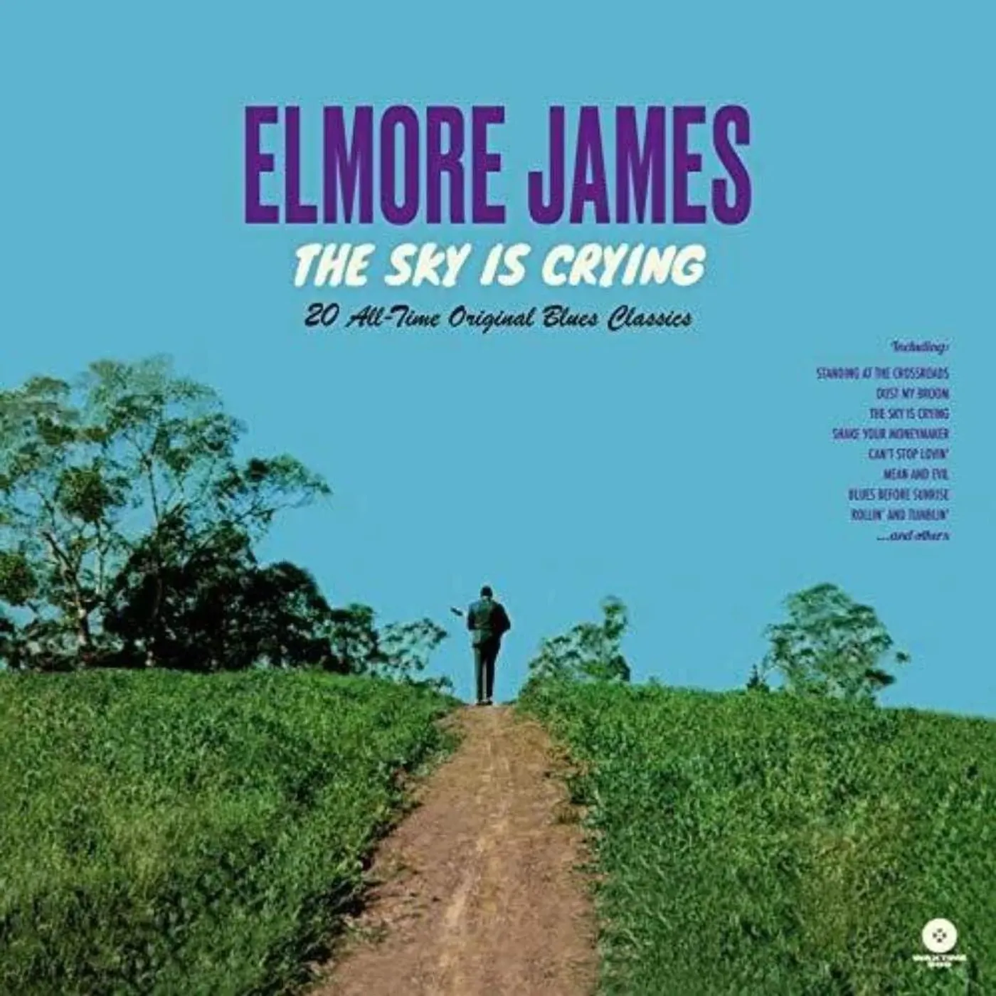 Elmore James SKY IS CRYING Vinyl Record