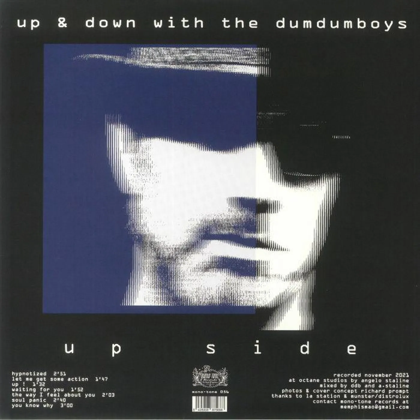 Up & Down With The Dum Dum Boys Vinyl Record