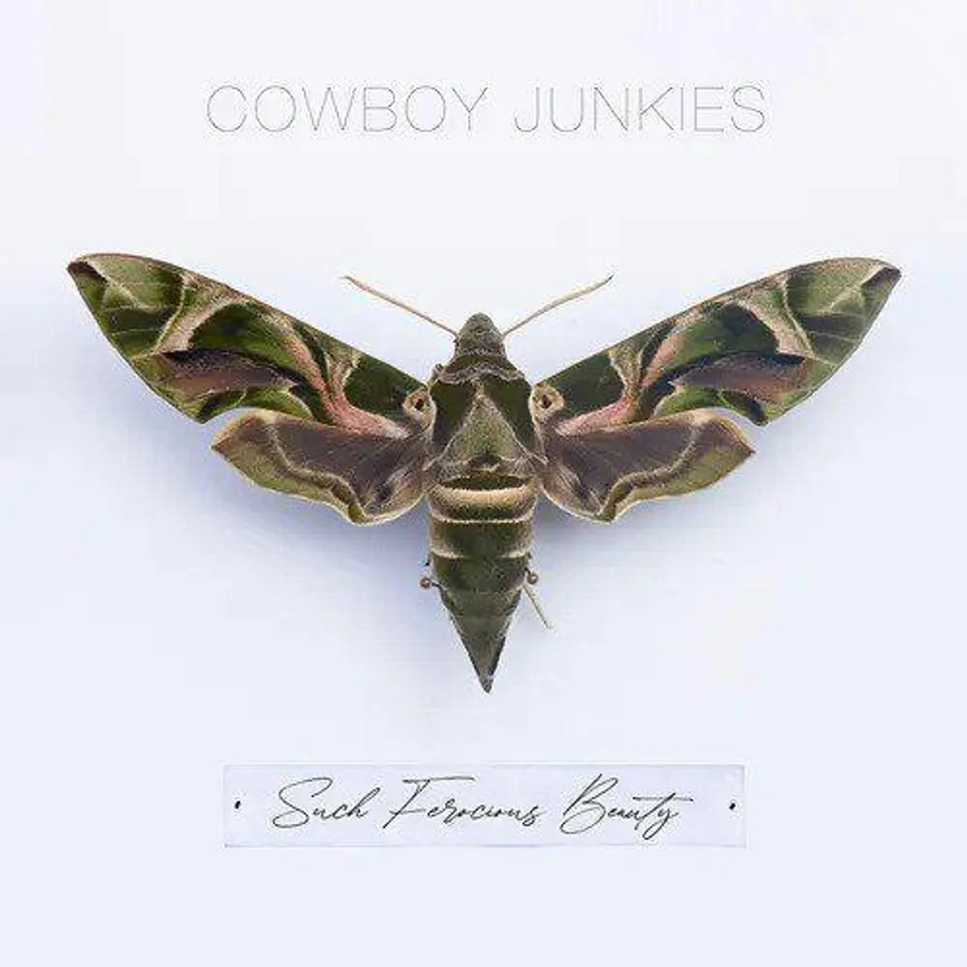 Cowboy Junkies Such Ferocious Beauty (Translucent Green) Vinyl Record