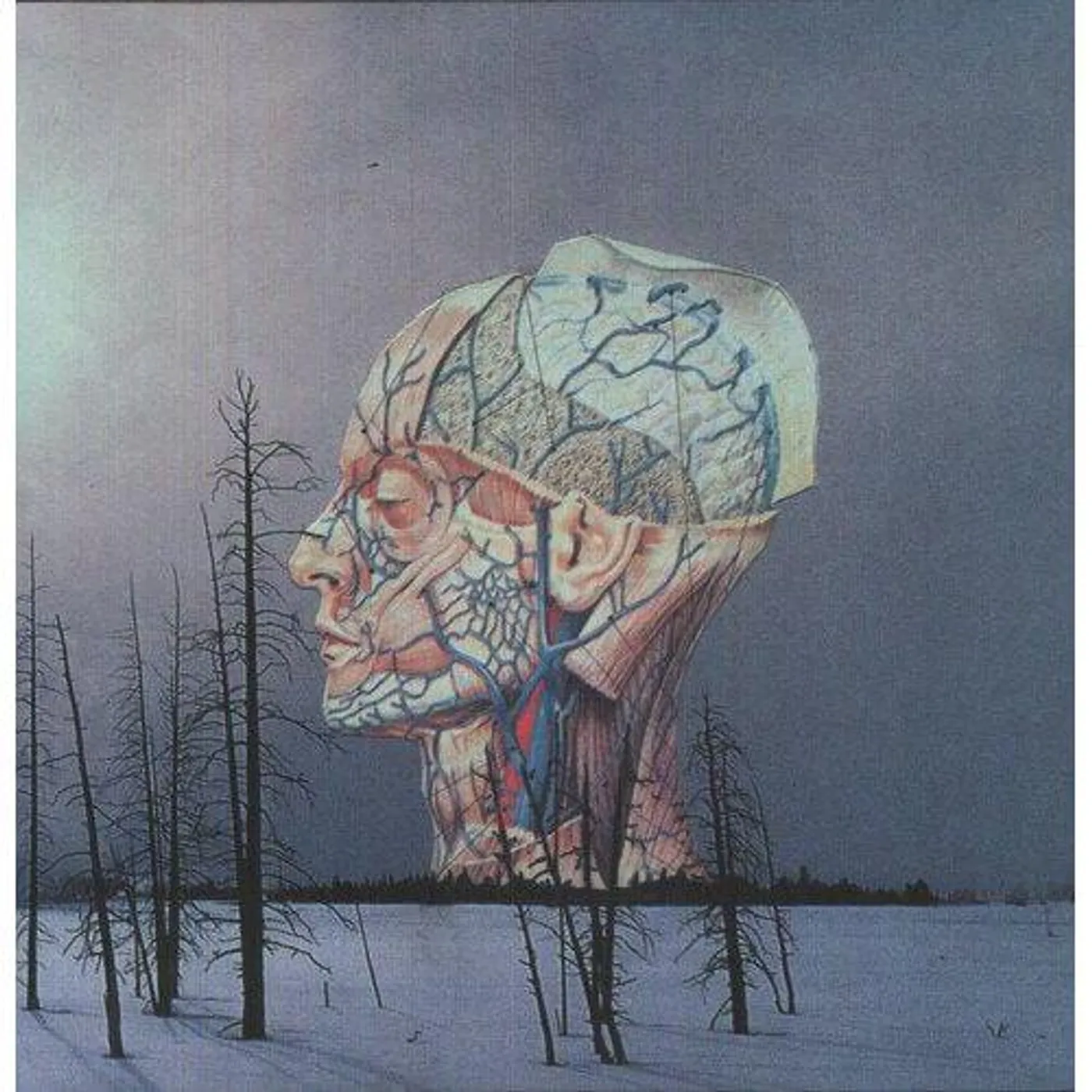 Low SONGS FOR A DEAD PILOT Vinyl Record