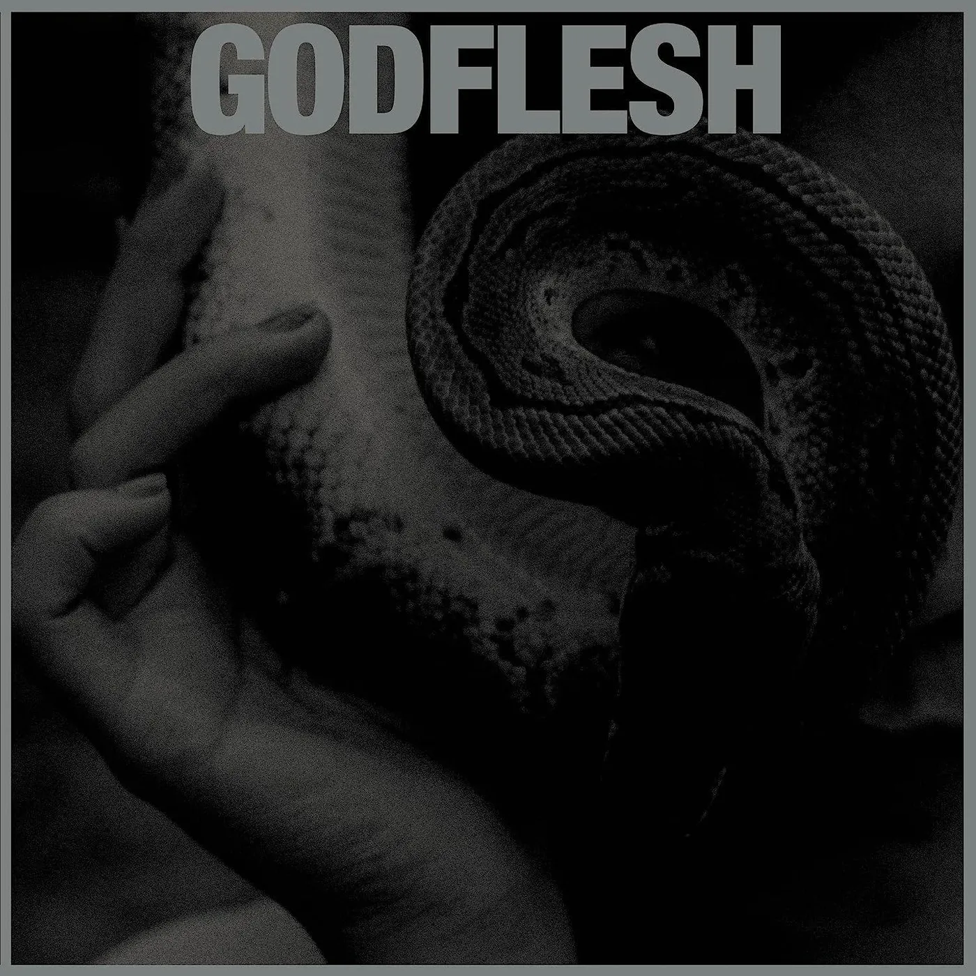 Godflesh Purge Vinyl Record
