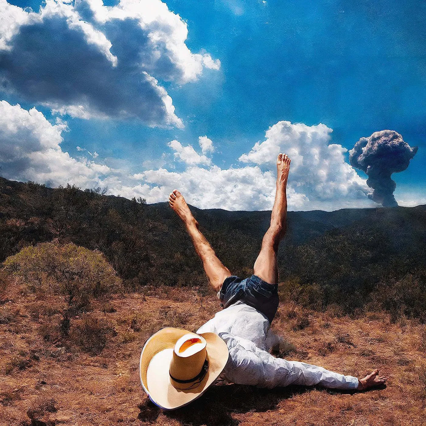 Geese 3D Country (Crystal Clear) Vinyl Record