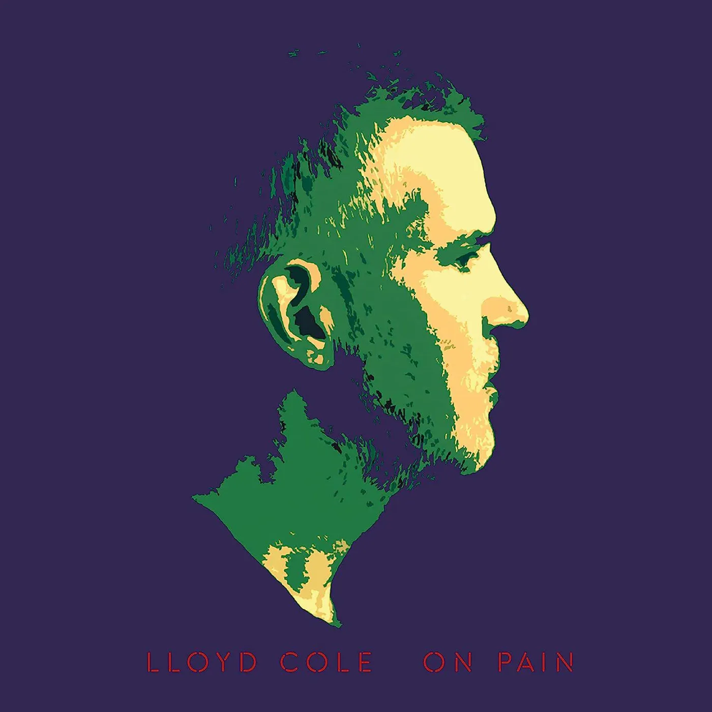 Lloyd Cole On Pain Vinyl Record