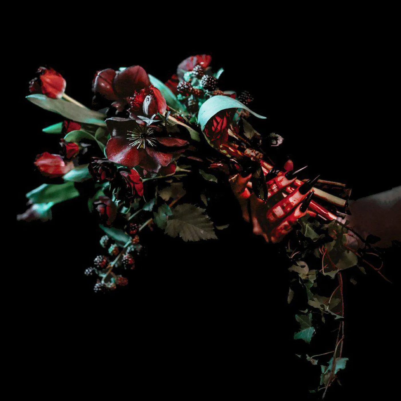 Vosh Vessel (Translucent Red) Vinyl Record