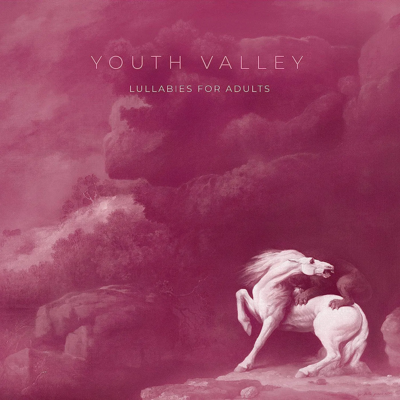 Youth Valley Lullabies For Adults Vinyl Record