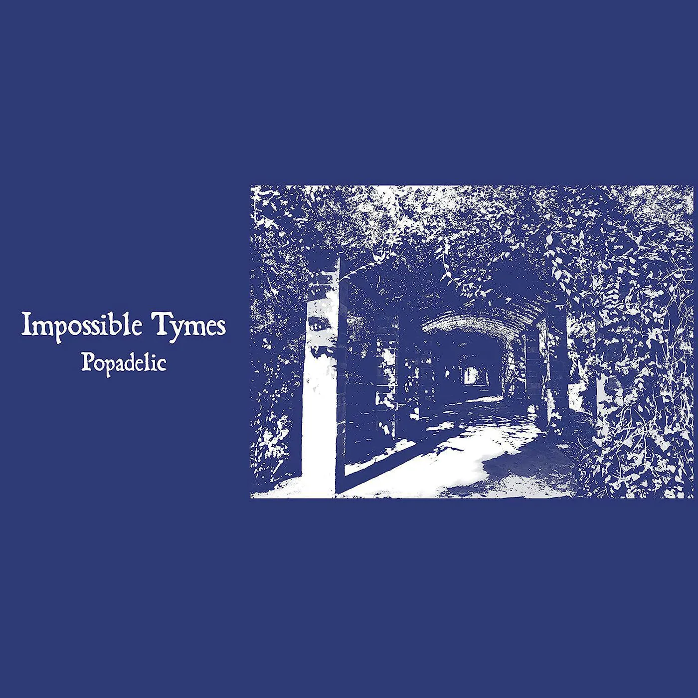 Impossible Tymes Popadelic Vinyl Record