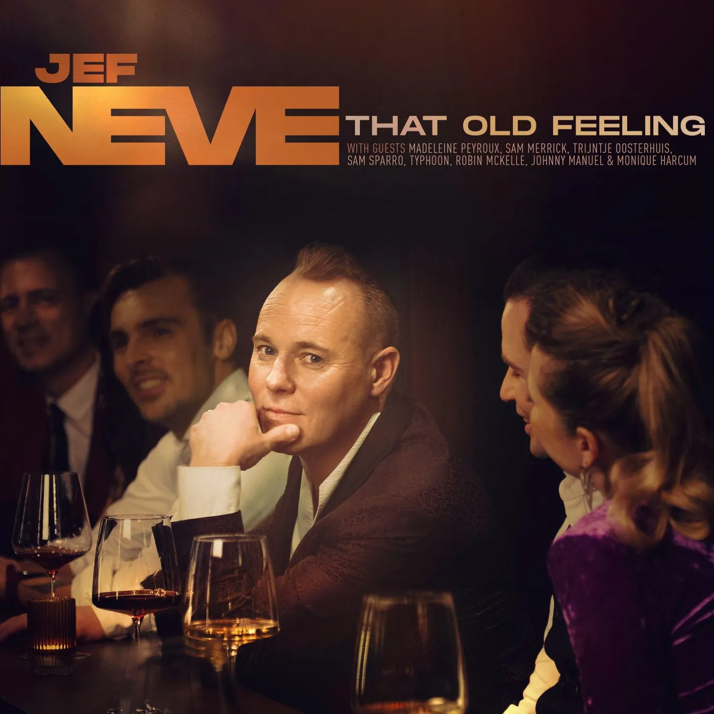 Jef Neve That Old Feeling (180g) (Import) Vinyl Record