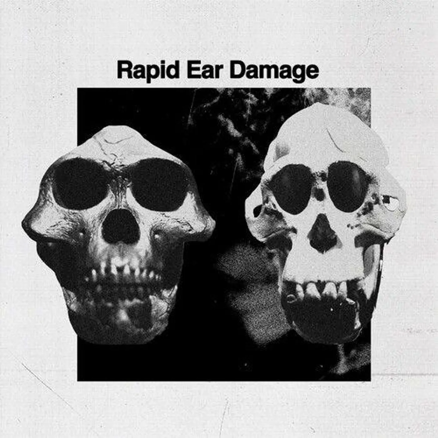 Rapid Ear Damage R.E.D. Vinyl Record