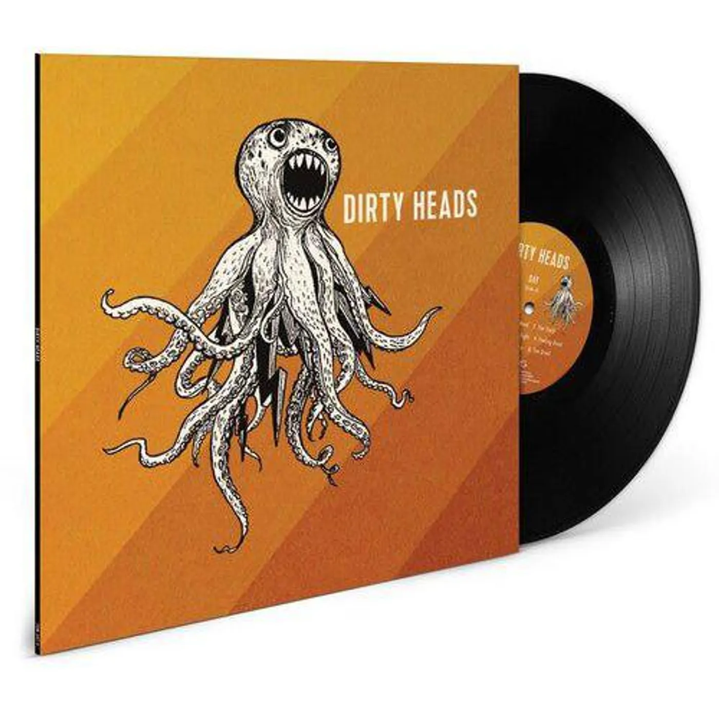 Dirty Heads Vinyl Record