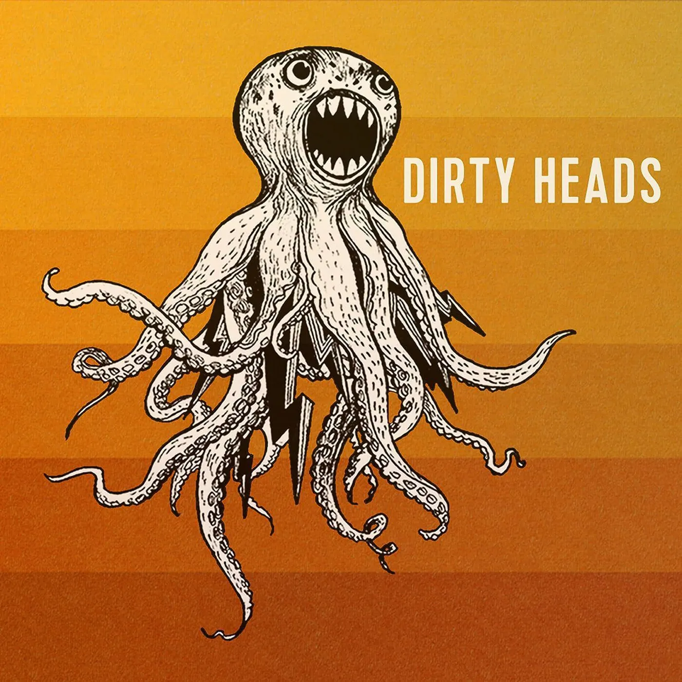 Dirty Heads Vinyl Record