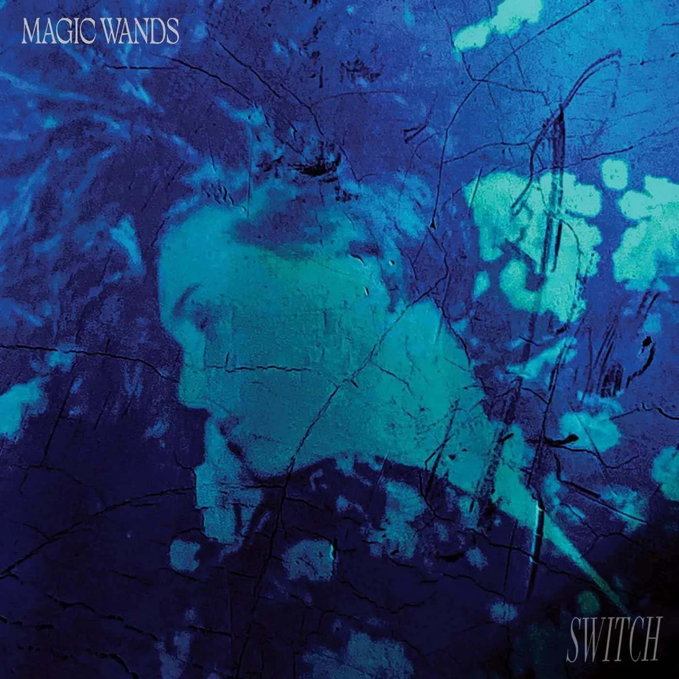 Magic Wands SWITCH Vinyl Record