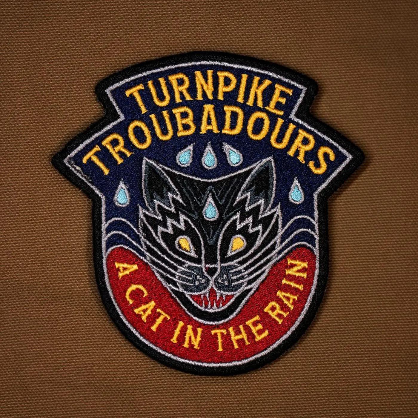 Turnpike Troubadours Cat In The Rain Vinyl Record