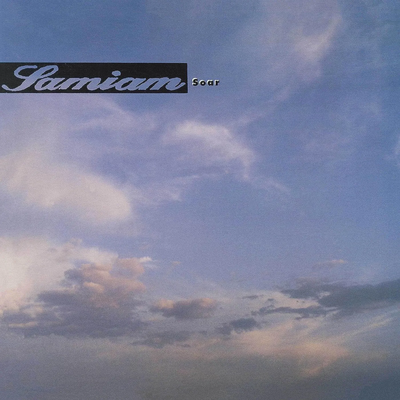 Samiam Soar (Haze) Vinyl Record