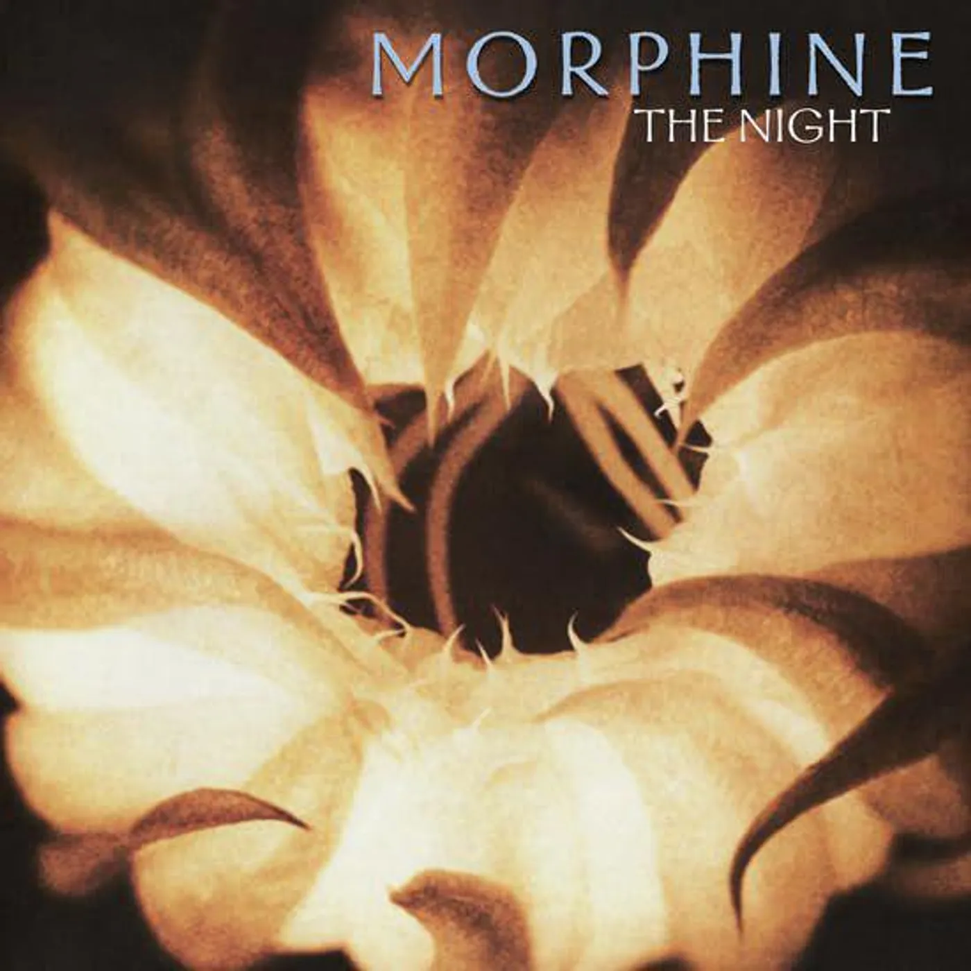 Morphine NIGHT (2LP/PURPLE VINYL) Vinyl Record